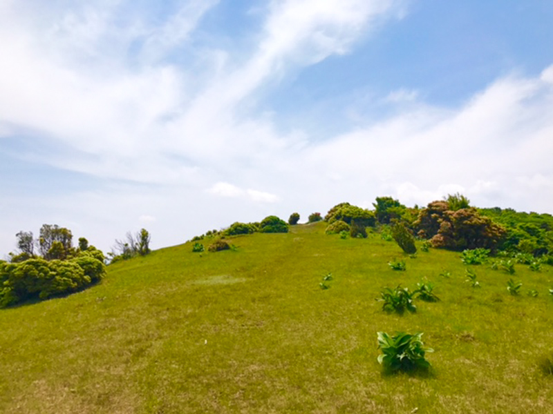 ユル登山のススメ