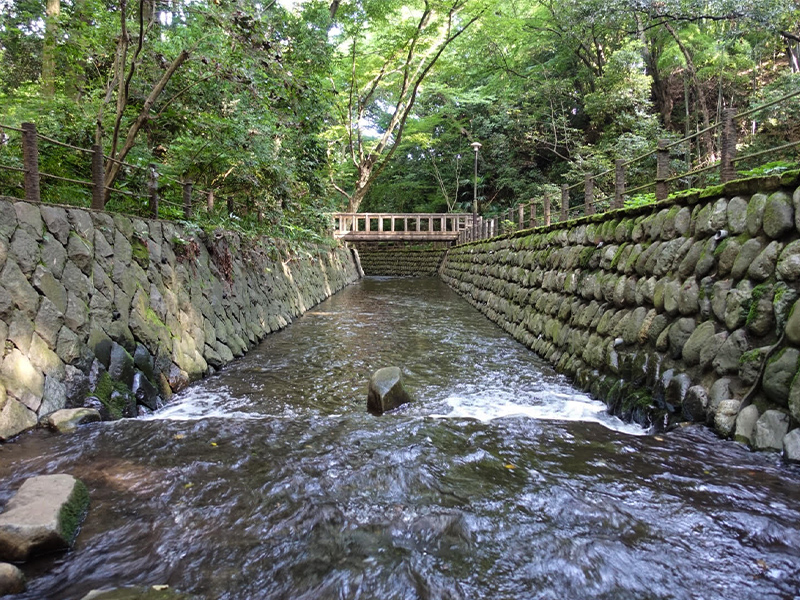 おすすめ癒しスポット！等々力渓谷でお散歩♪